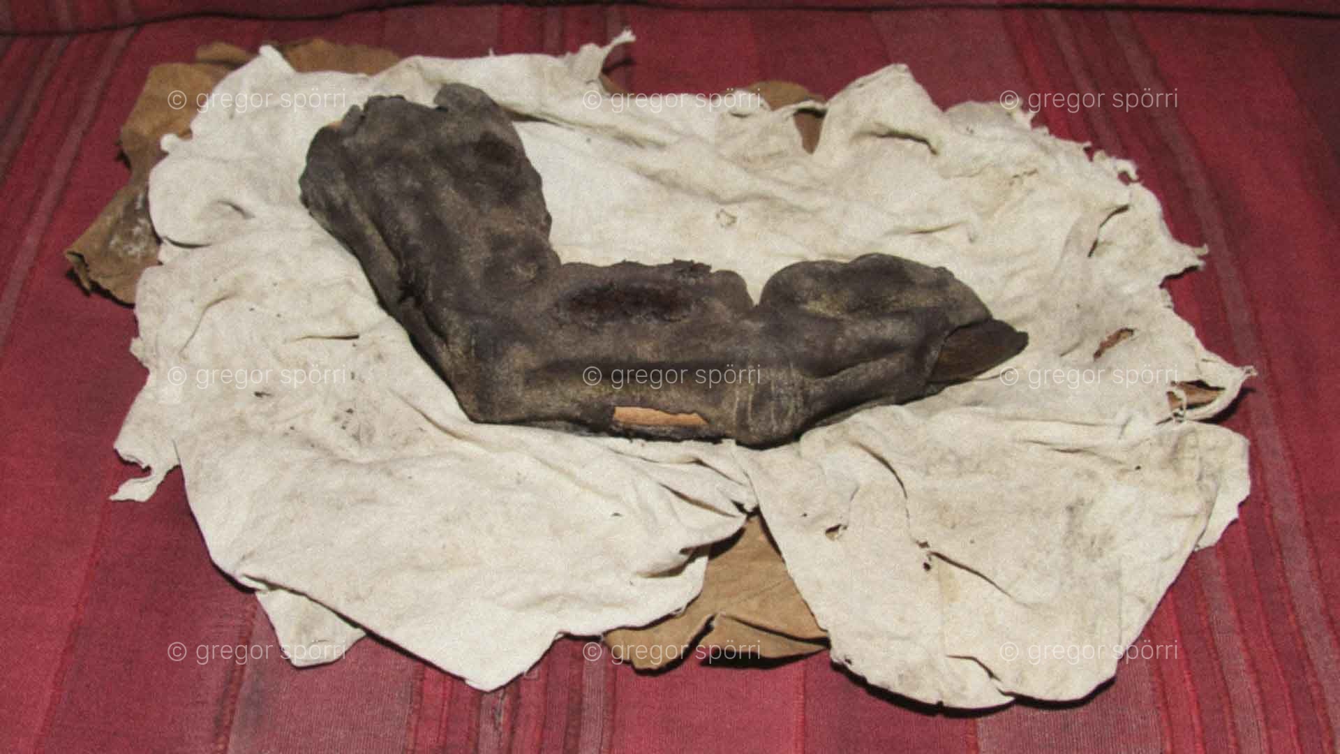 The relic of Bir Hooker: a mummified finger of a human-like giant (Nephilim).